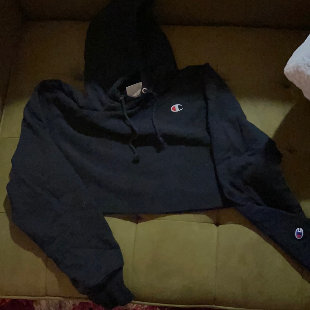 Champion Crop hoodie